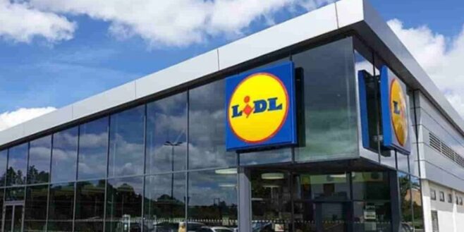 Lidl frappe fort avec l'accessoire indispensable pour rafraichir votre chien cet été