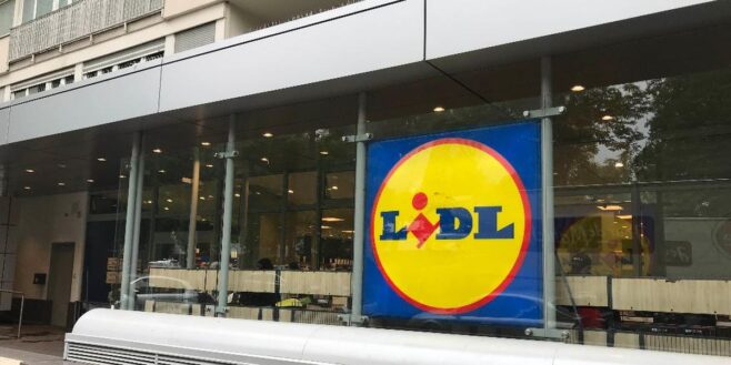 Lidl frappe fort avec son banc de rangement super pratique !