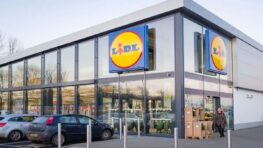 Lidl lance la meilleure chaise longue pour bronzer cet été !