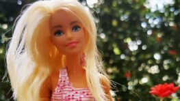 Record la poupée Barbie la plus chère du monde vendue 300 000 euros !