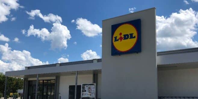 Ruée chez Lidl avec sa maison de poupée inspirée par Barbie à prix cassé !