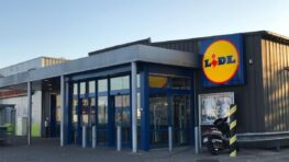 Ruée chez Lidl pour ses glaces grands formats à petits prix pour se régaler cet été !