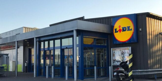 Ruée chez Lidl pour ses glaces grands formats à petits prix pour se régaler cet été !