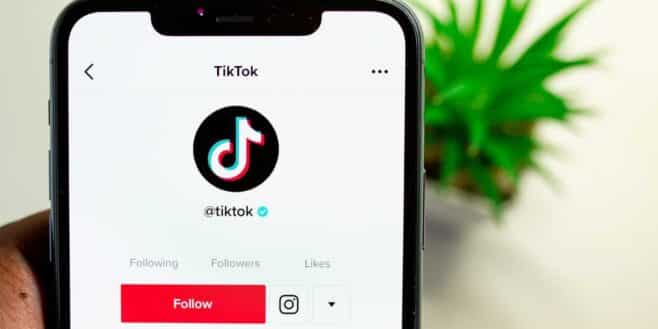 TikTok l'application bientôt interdite en France !