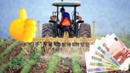 Un agriculteur condamné à 80.000 euros d'amende à cause d'un emoji !