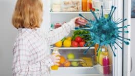 Cette habitude à prendre après les courses pour éviter la prolifération des bactéries dans votre frigo !