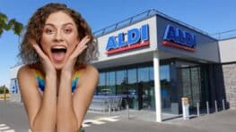 Cohue chez Aldi avec cet accessoire parfait pour nettoyer les vitres sans efforts !
