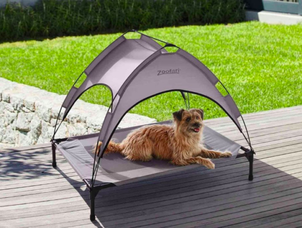 Cohue chez Lidl avec ces accessoires pour garder votre chien bien au frais !-article