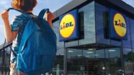 Cohue chez Lidl avec ces fournitures pour la rentrée scolaire à moins de 3 euros !