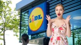 Cohue chez Lidl pour ce lot d'étagères parfaites pour bien décorer sa maison !