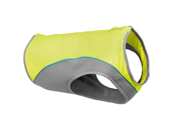 Cohue chez Lidl pour ce produit parfait pour aider votre chien contre la canicule article