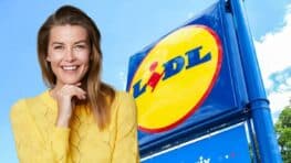 Cohue chez Lidl pour cette blouse la plus mignonne et rétro de la rentrée à moins de 8 euros !