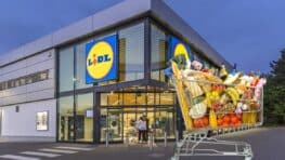 Elle fait 2000 euros de courses chez Lidl, le supermarché halluciné par cette terrible arnaque !