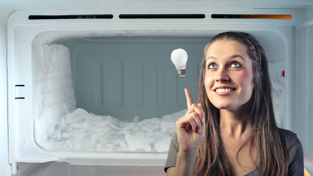 The best trick to defrost the freezer in less than 30 minutes!  – Tuxboard
