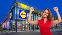 Lidl a trouvé la solution pour tout ranger facilement dans sa maison !