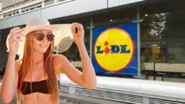 Lidl cartonne avec ce parasol de luxe à tout petit prix !