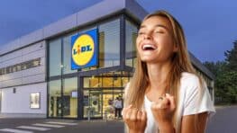 Lidl frappe très fort avec ce coffre polyvalent pour tout ranger sur votre terrasse ou dans le jardin !