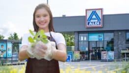 Ruée chez Aldi avec cette plante qui permet de se débarrasser de l'humidité à l'intérieur !