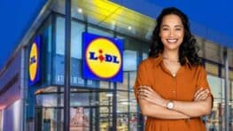 Ruée chez Lidl pour cette nouvelle friteuse à air chaud pour faire des frites sans gras !