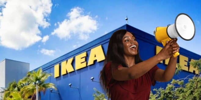 Cohue chez Ikea avec son nouveau best-seller pour l'automne et l'hiver à moins de 20 euros !