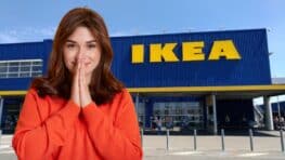 Cohue chez Ikea pour cette vaisselle en porcelaine digne d'un restaurant 5 étoiles !