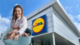 Cohue chez Lidl avec ces appareils pour avoir du linge impeccable et toujours bien repassé !