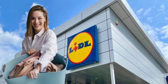 Cohue chez Lidl avec ces appareils pour avoir du linge impeccable et toujours bien repassé !