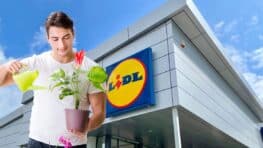Cohue chez Lidl avec cette jardinière intelligente pour bien prendre soin de vos plantes !