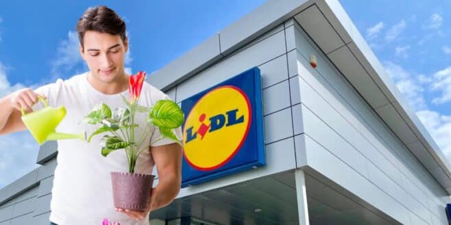 Cohue chez Lidl avec cette jardinière intelligente pour bien prendre soin de vos plantes !