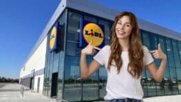 Cohue chez Lidl avec la chaise parfaite pour se reposer après une grosse journée de travail !