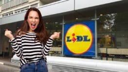 Cohue chez Lidl avec la commode trois tiroirs grande capacité qui multiplie les rangements !