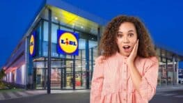 Cohue chez Lidl avec la lampe super design et très originale à moins de 25 euros !