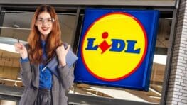 Cohue chez Lidl pour cette ardoise numérique connectée !