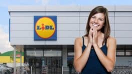 Lidl a trouvé la solution parfaite pour éliminer la poussière partout !