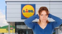 Lidl dépassé, ce concurrent ouvre 11 magasins en France et va lui prendre tous ses clients !
