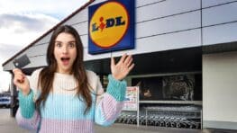 Lidl frappe fort avec ce hoodies Adidas à moins de 30 euros !
