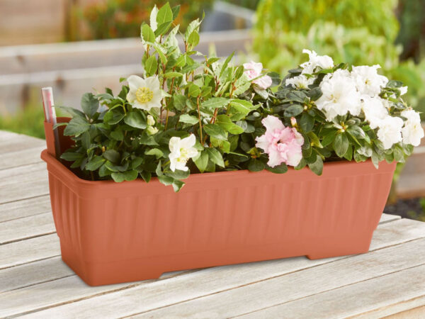 Lidl vous facilite la culture de vos plantes avec cette jardinière intelligente