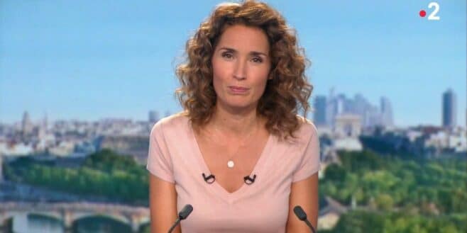 Marie-Sophie Lacarrau recadre sèchement un journaliste en plein direct au JT de 13 heures !