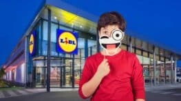 Cohue chez Lidl avec ce jeu de fête foraine que tous les enfants adorent !