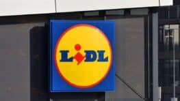 Cohue chez Lidl avec ce porte serviettes ultra design à moins de 20 euros !