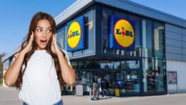 Cohue chez Lidl avec cet accessoire qui apportera de la couleur à votre terrasse ou jardin !