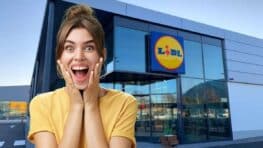 Cohue chez Lidl pour ce tabouret en peau de mouton 2 en 1 à moins de 20 euros !