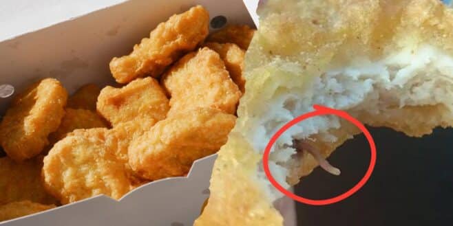 Elle croque dans son nugget McDonald's et fait une découverte affreuse