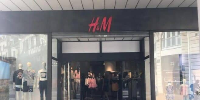 H&M a trouvé la pièce la plus stylée de l'automne avec cette robe plissée à fleurs !