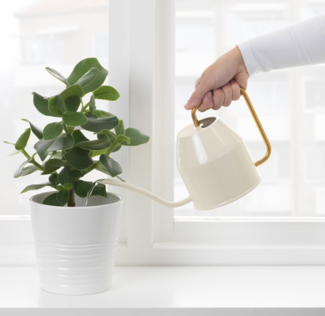 Ikea a un arrosoir ultra design qui enchante les fans de déco vintage