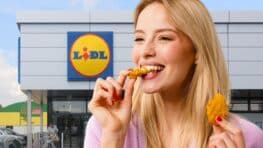 KFC, McDonald's ou Burger King c'est fini, Lidl a désormais les meilleurs nuggets