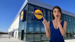 Lidl cartonne avec l'étagère design pour bouteilles qui ressemble à une œuvre d'art !