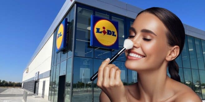 Lidl frappe fort avec cet accessoire idéal pour toujours avoir son maquillage bien rangée et facilement accessible !