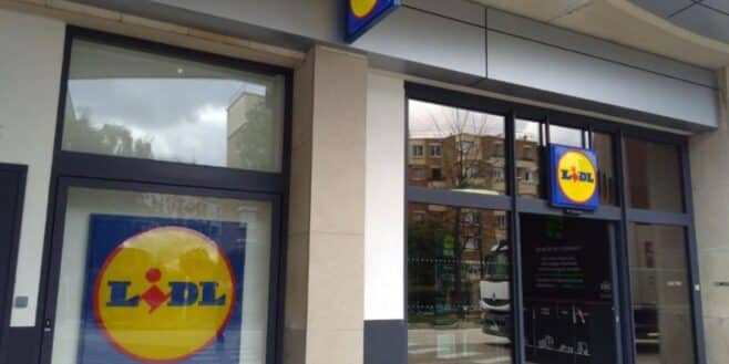Lidl frappe fort avec son nettoyeur vapeur à moins de 40 euros qui nettoie tout en profondeur !