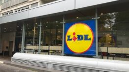 Lidl innove avec cette glacière avec une enceinte Bluetooth intégrée